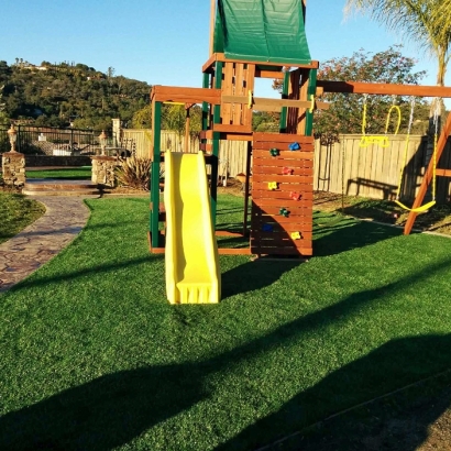 Synthetic Grass Cost Solana Beach, California Lawn And Garden, Backyard Landscaping