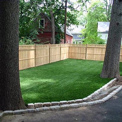 Synthetic Grass Cost Solana Beach, California Pet Turf, Backyard Designs