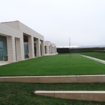 Synthetic Grass Cost Winter Gardens, California Rooftop, Commercial Landscape