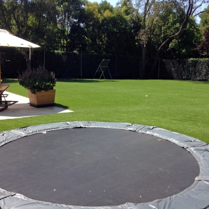 Synthetic Grass Del Mar, California Landscaping, Pool Designs