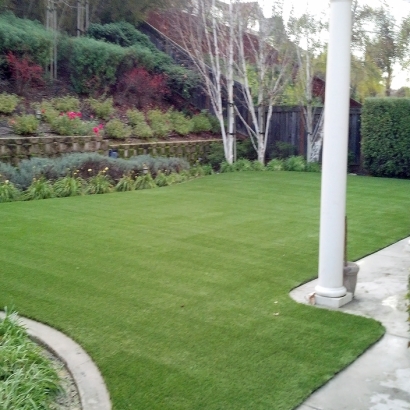 Synthetic Grass Encinitas, California Drainage, Backyard Ideas
