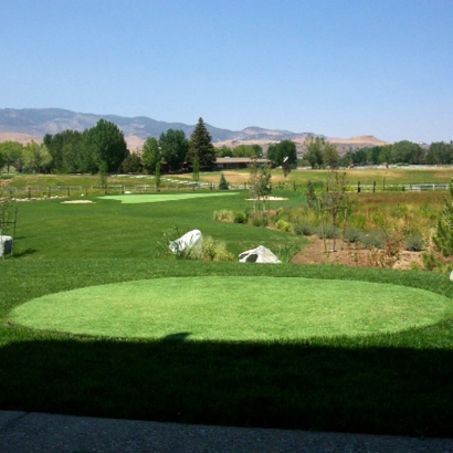 Synthetic Grass Julian, California Putting Green Flags, Backyard Ideas