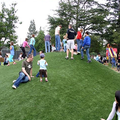 Synthetic Grass San Diego, California Backyard Playground, Parks