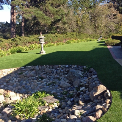 Synthetic Lawn Calexico, California Landscape Design, Backyard