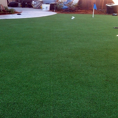 Synthetic Lawn Westmorland, California Design Ideas, Backyard Ideas