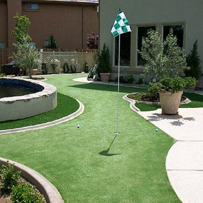 Synthetic Turf Borrego Springs, California Golf Green, Backyard Landscape Ideas