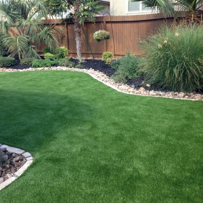 Synthetic Turf Chula Vista, California Landscape Design, Backyard Design