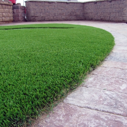 Synthetic Turf San Pasqual, California Indoor Dog Park, Front Yard Landscaping