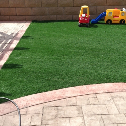 Synthetic Turf Spring Valley, California Paver Patio, Backyard Landscaping Ideas