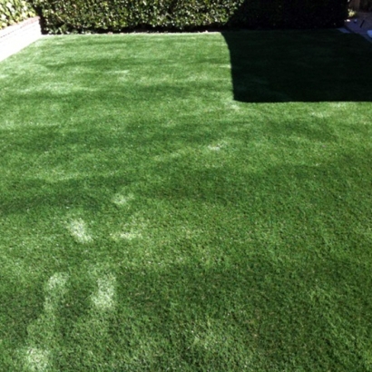 Synthetic Turf Supplier Lemon Grove, California Backyard Deck Ideas, Backyard Landscaping Ideas