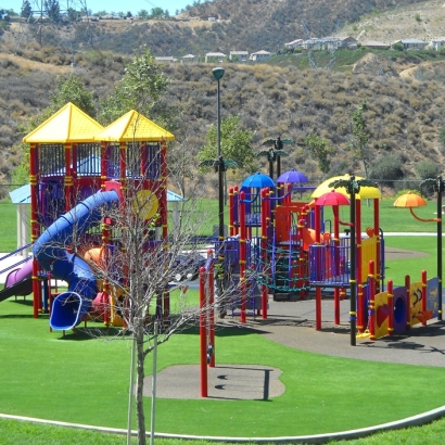 Turf Grass Borrego Springs, California Lacrosse Playground, Recreational Areas