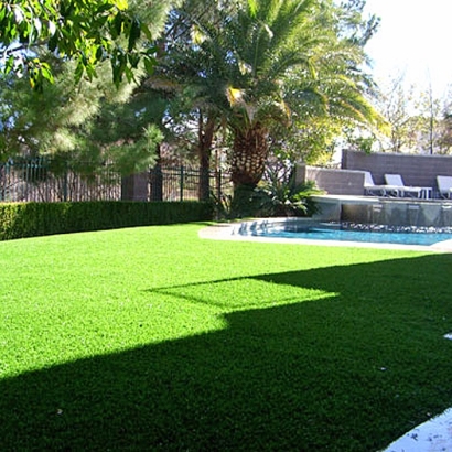 Turf Grass Escondido, California Landscape Ideas, Backyard Ideas