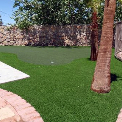 Turf Grass Holtville, California Best Indoor Putting Green, Backyard Landscaping Ideas