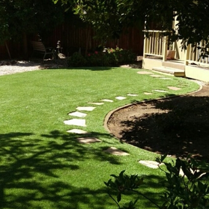 Turf Grass Poway, California Design Ideas, Small Backyard Ideas
