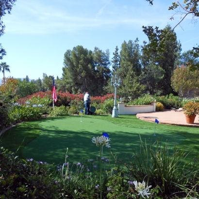 Turf Grass Rancho San Diego, California Lawn And Landscape, Backyard Design