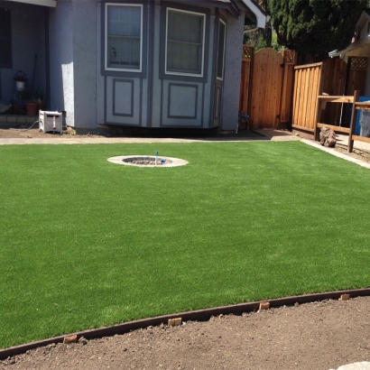 Turf Grass Winter Gardens, California Gardeners, Backyard Makeover