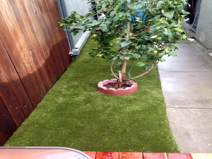 Artificial Grass Bonsall, California Landscape Ideas, Backyard Ideas