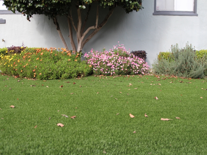 Artificial Grass Carpet Bostonia, California Landscape Photos, Small Front Yard Landscaping
