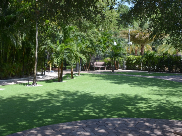 Artificial Grass Fallbrook, California Landscaping, Pavers