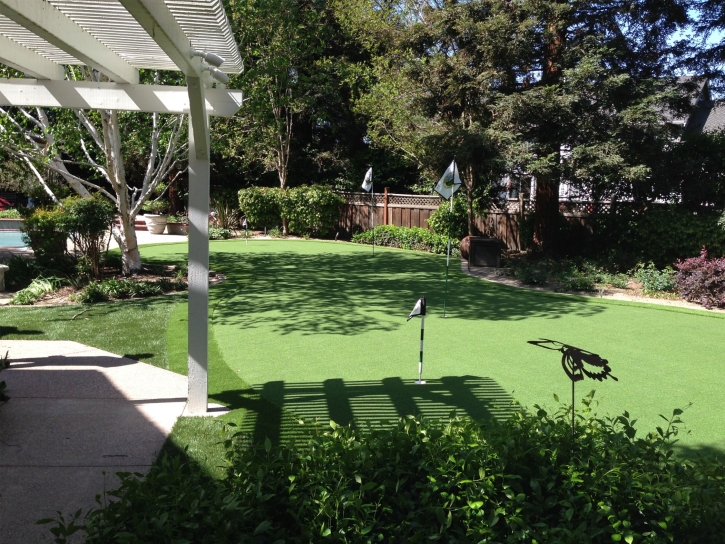 Artificial Grass Imperial, California Rooftop