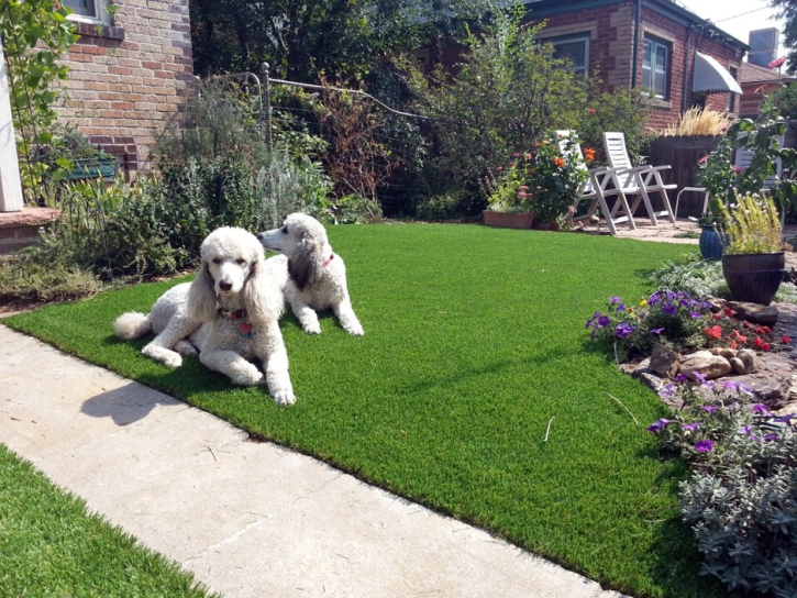 Artificial Grass Installation Seeley, California Landscaping Business, Dogs Park