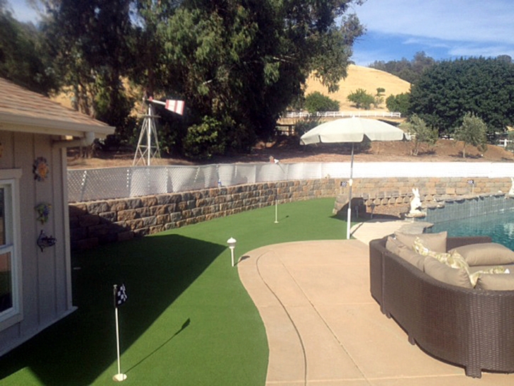 Artificial Grass Niland, California Paver Patio, Backyard Landscaping