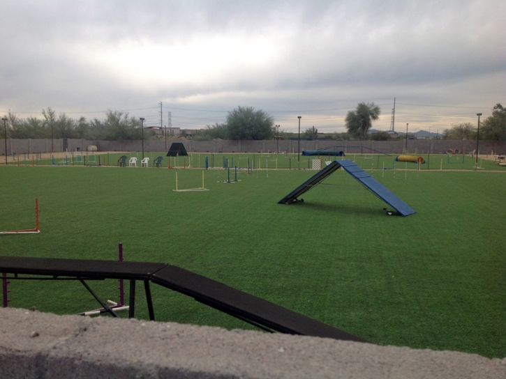 Artificial Grass Ramona, California Backyard Sports, Parks