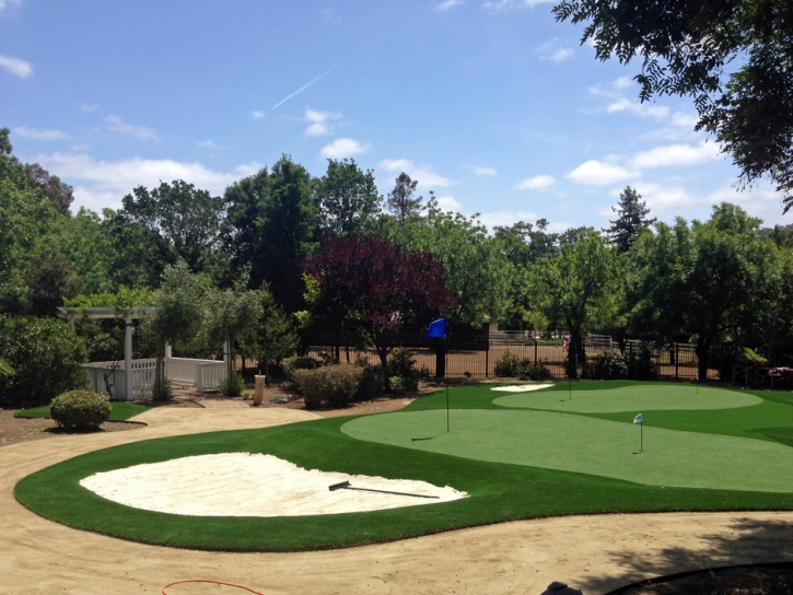 Artificial Lawn Casa de Oro-Mount Helix, California Indoor Putting Greens, Front Yard