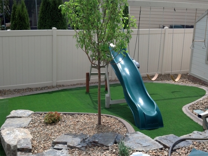 Artificial Lawn Lemon Grove, California Playground Safety, Backyard Landscaping
