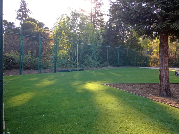 Artificial Lawn Ramona, California City Landscape, Parks