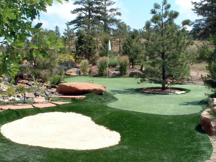 Artificial Turf Bonita, California Indoor Putting Greens, Beautiful Backyards