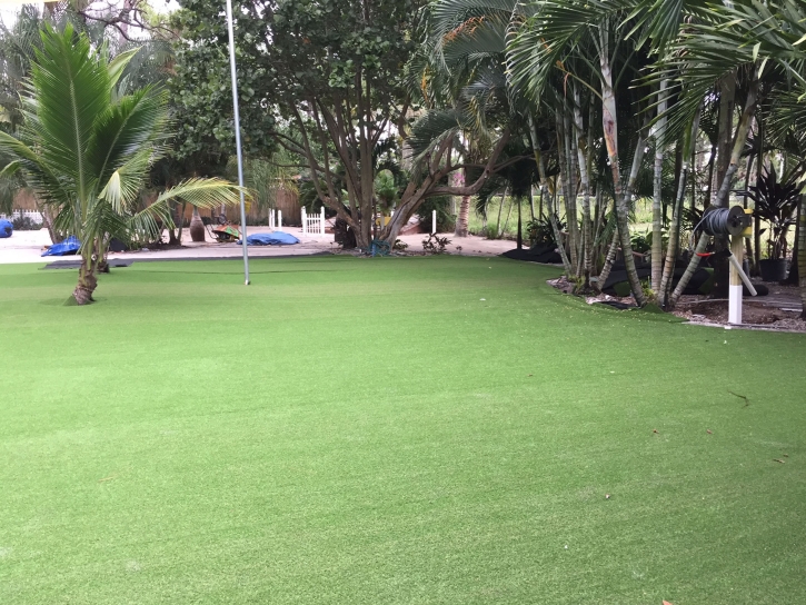 Artificial Turf Coronado, California Landscaping Business, Commercial Landscape