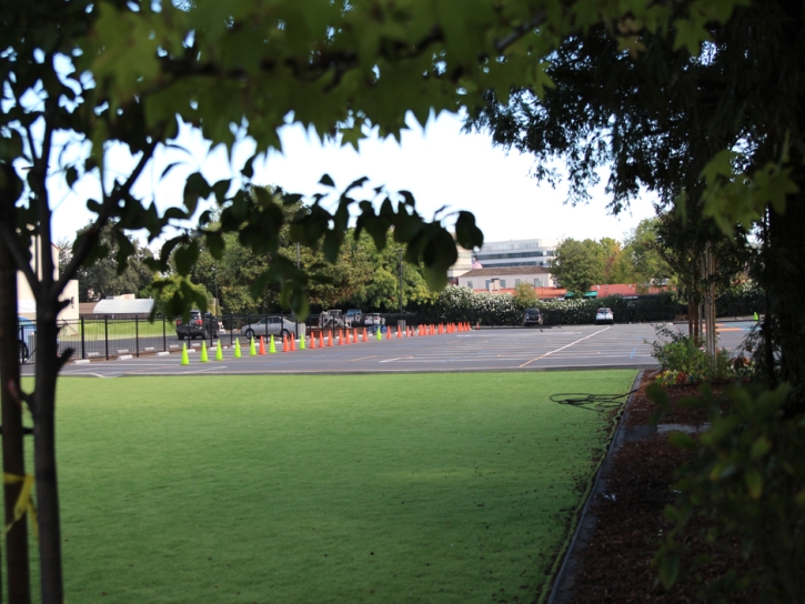 Artificial Turf Cost La Jolla, California Playground Turf, Commercial Landscape