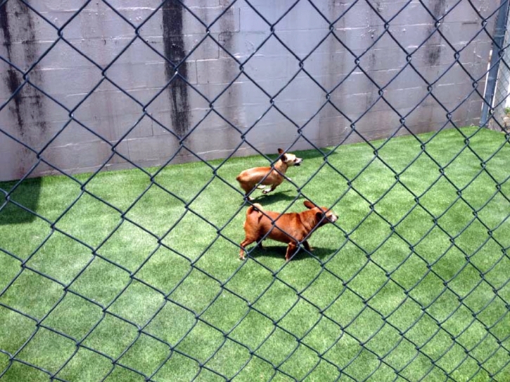 Artificial Turf Cost Poway, California Fake Grass For Dogs