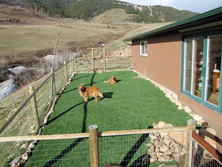 Artificial Turf Cost Rancho San Diego, California Artificial Turf For Dogs, Backyards