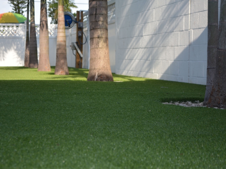 Artificial Turf Cost Salton City, California Paver Patio, Commercial Landscape