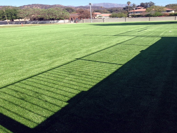 Artificial Turf Del Mar, California Landscaping Business