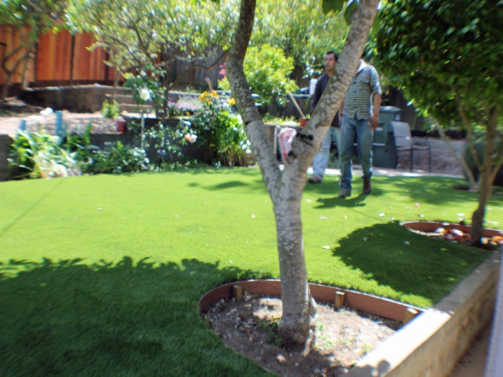 Artificial Turf Del Mar, California Backyard Deck Ideas, Backyard Landscaping Ideas