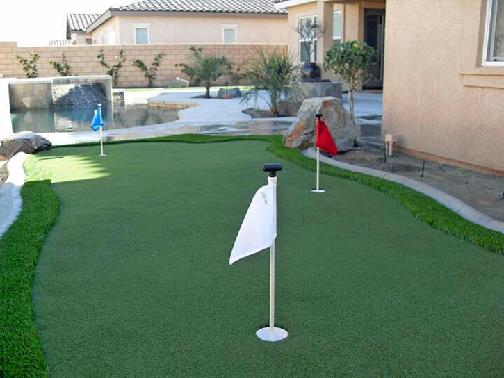 Artificial Turf Harbison Canyon, California Landscaping, Backyard Designs