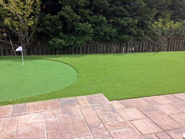 Artificial Turf Imperial, California Design Ideas, Backyard Ideas