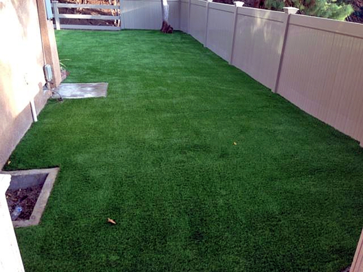 Artificial Turf Installation Jamul, California Dog Park, Backyard Landscape Ideas