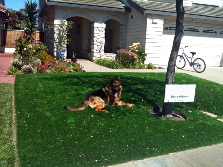 Artificial Turf Installation Valley Center, California Pet Turf, Small Front Yard Landscaping