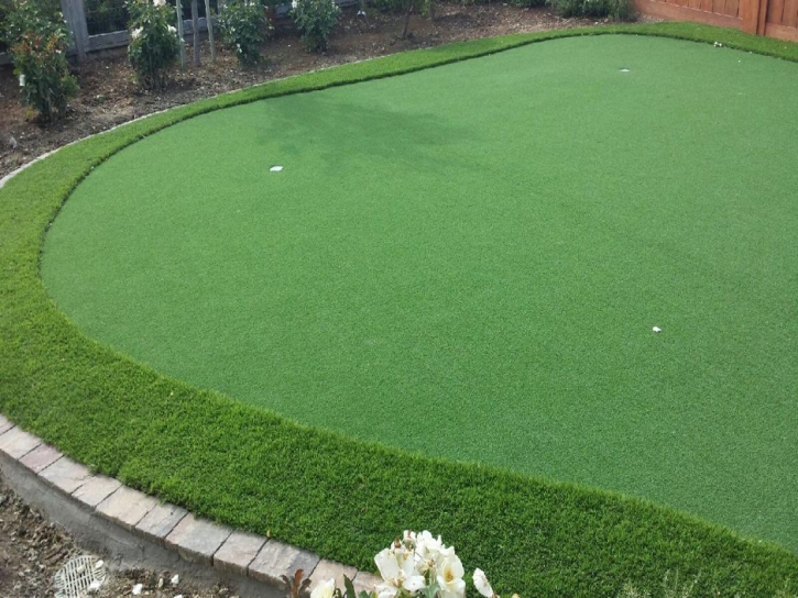 Artificial Turf La Mesa, California Backyard Playground, Beautiful Backyards