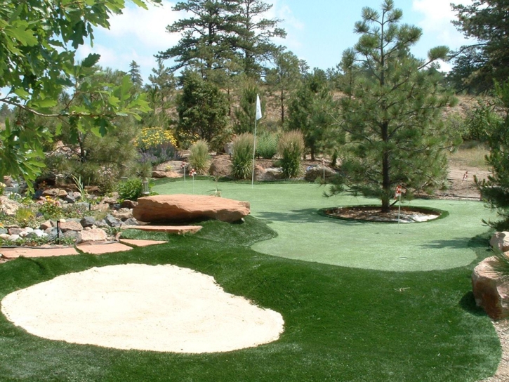 Artificial Turf San Pasqual, California Diy Putting Green, Backyard Ideas