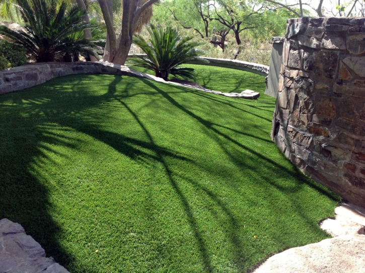 Best Artificial Grass Carlsbad, California Hotel For Dogs