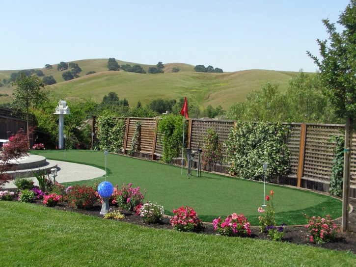 Best Artificial Grass Imperial Beach, California Landscaping, Backyard Landscaping Ideas