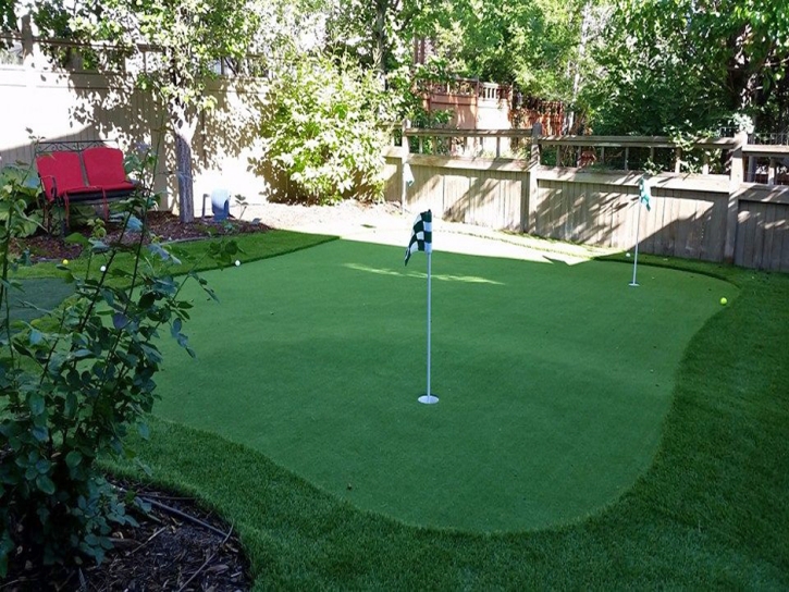 Best Artificial Grass Ramona, California Rooftop, Backyard Landscaping Ideas