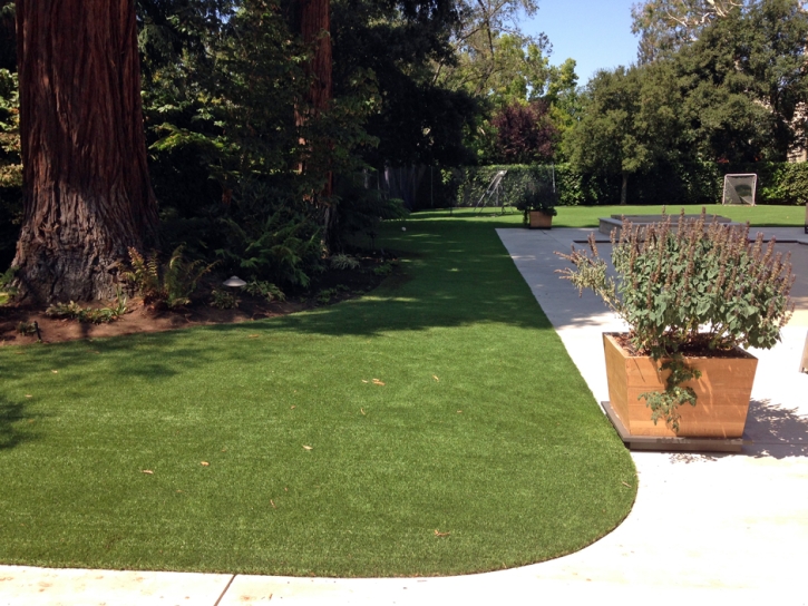 Fake Grass Calexico, California Landscape Rock, Front Yard