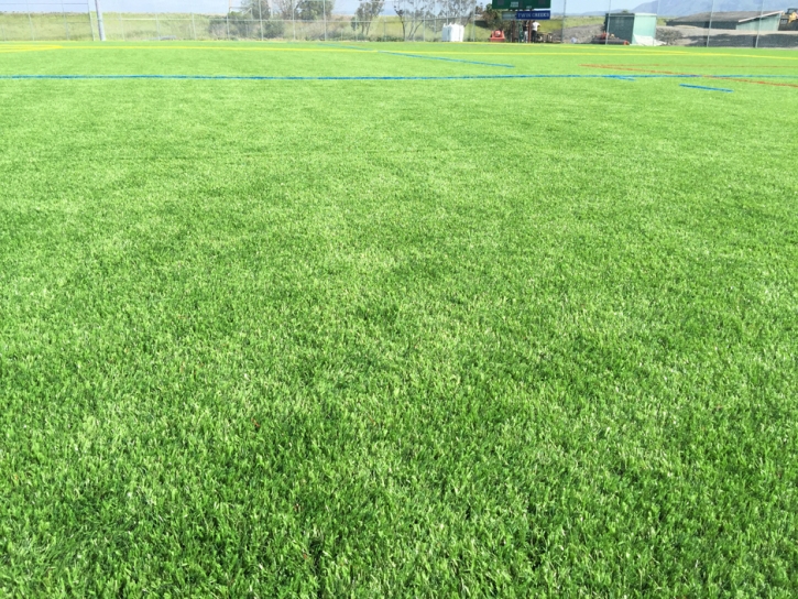 Fake Grass Carpet Jamul, California Home And Garden