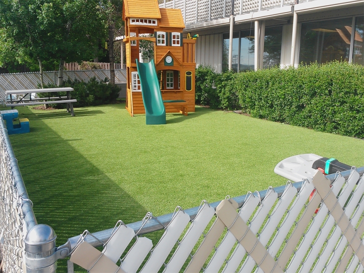 Fake Grass Carpet La Presa, California Backyard Playground, Backyard Garden Ideas